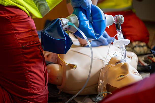 earn-your-bls-credential-through-practical-training-that-works-big-0