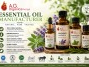 essential-oil-manufacturer-premium-bulk-oils-supplier
