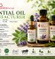 essential-oil-manufacturer-premium-bulk-oils-supplier
