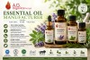 essential-oil-manufacturer-premium-bulk-oils-supplier-big-0