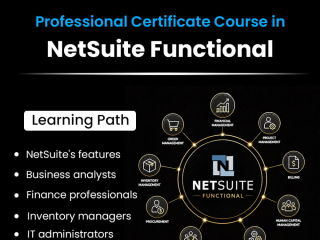 netsuite-functional-online-training-with-certification-live-classes-gologica