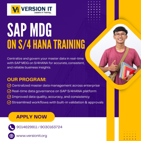 be-a-certified-sap-mdg-expert-with-the-best-sap-mdg-training-in-chennai-at-version-it-big-0