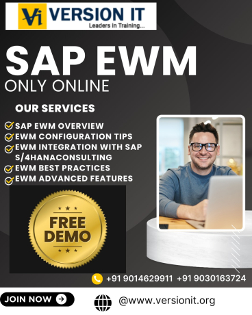 master-sap-ewm-with-version-it-one-of-the-best-sap-ewm-training-institute-in-bangalore-big-0