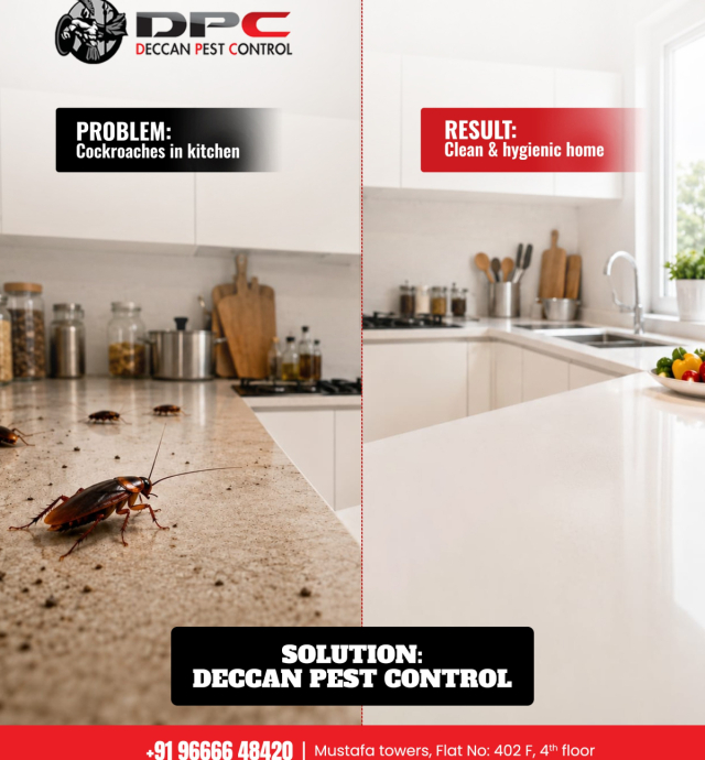 best-cockroach-control-services-in-hyderabad