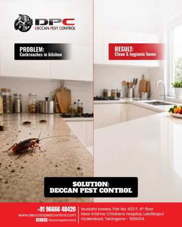 best-cockroach-control-services-in-hyderabad-big-0