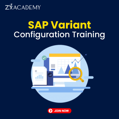 sap-variant-configuration-online-training-sap-vc-certification-course-zx-academy-big-0
