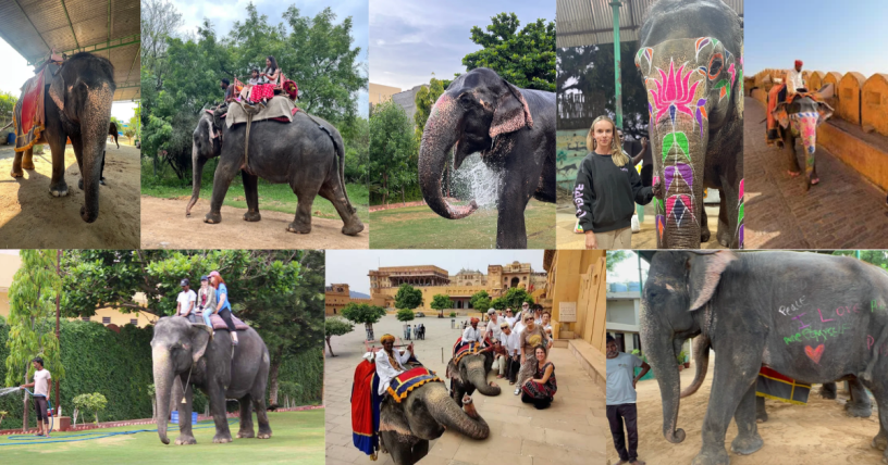 jaipur-to-ajmer-pushkar-tour-big-3