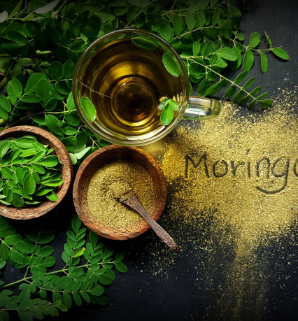moringa-wholesale-quality-moringa-products