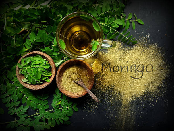 moringa-wholesale-quality-moringa-products-big-0