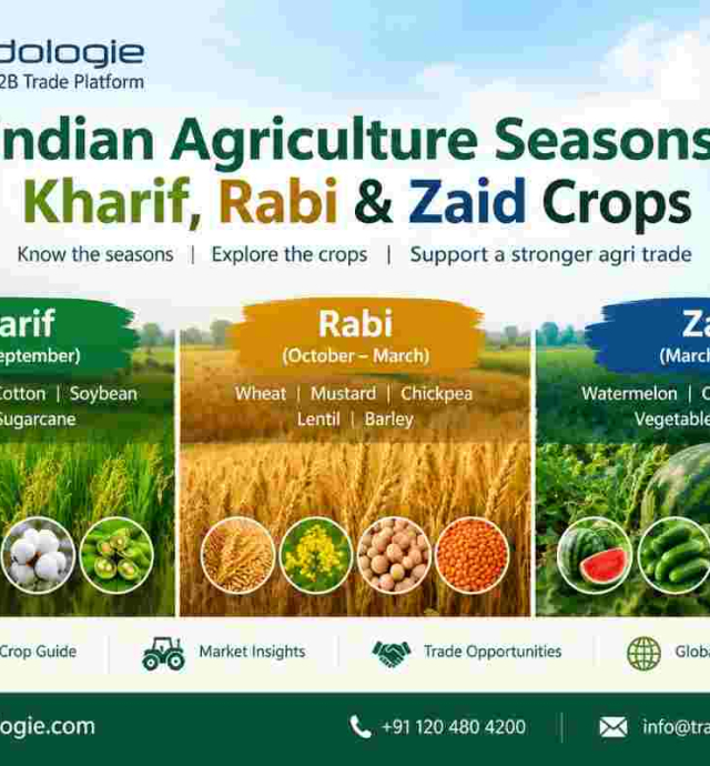 indian-agriculture-seasons-kharif-rabi-zaid-crops