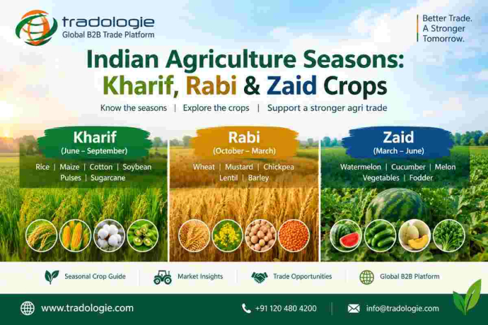 indian-agriculture-seasons-kharif-rabi-zaid-crops-big-0