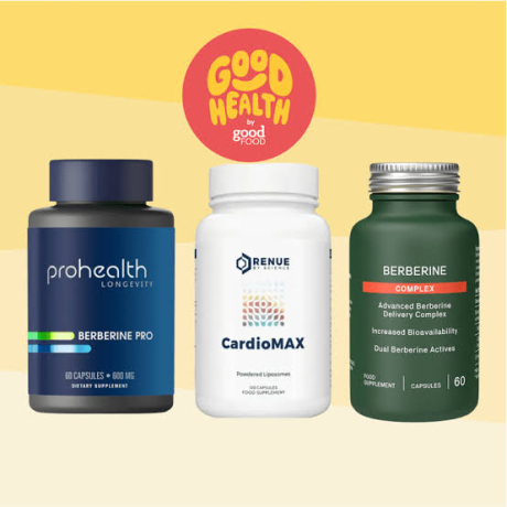 best-berberine-supplement-how-to-choose-the-right-option-for-weight-management-and-wellness-big-0