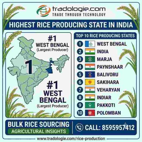 highest-rice-producing-state-in-india-top-10-states-big-0
