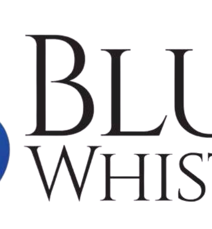blue-whistle-advertising-digital-brand-identity-and-strategic-advertising-solutions-in-patna