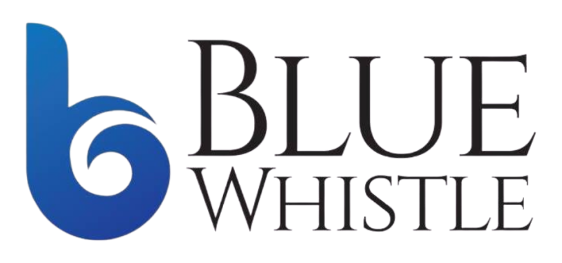 blue-whistle-advertising-digital-brand-identity-and-strategic-advertising-solutions-in-patna-big-0