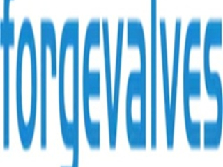 china-forged-valves-co-ltd