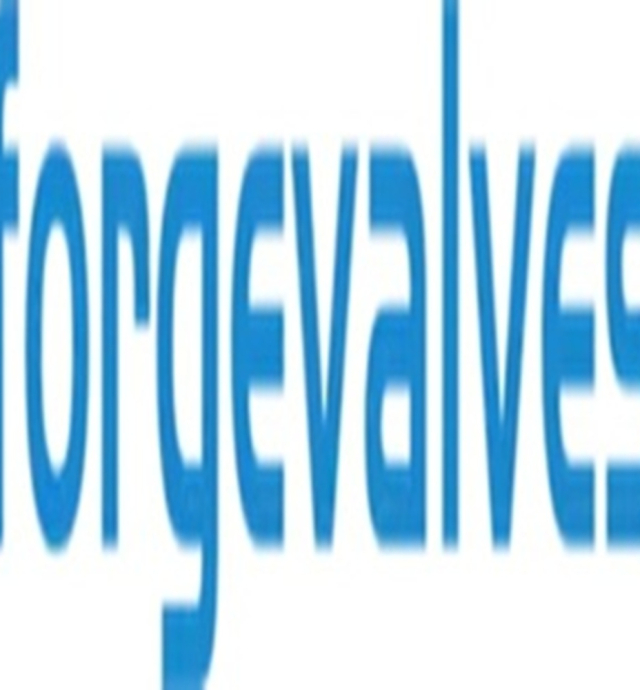 china-forged-valves-co-ltd