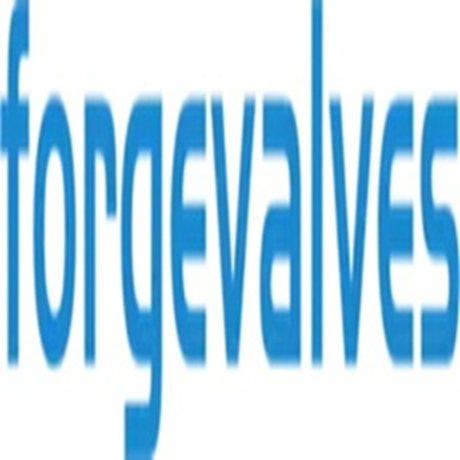 china-forged-valves-co-ltd-big-0